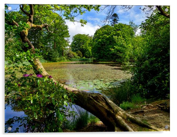 Lily Pond, Wales, UK Acrylic by Mark Llewellyn