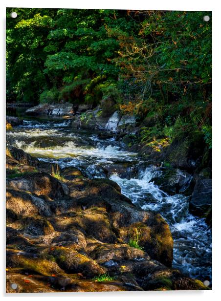 Cenarth Falls, Carmarthenshire, Wales, UK Acrylic by Mark Llewellyn