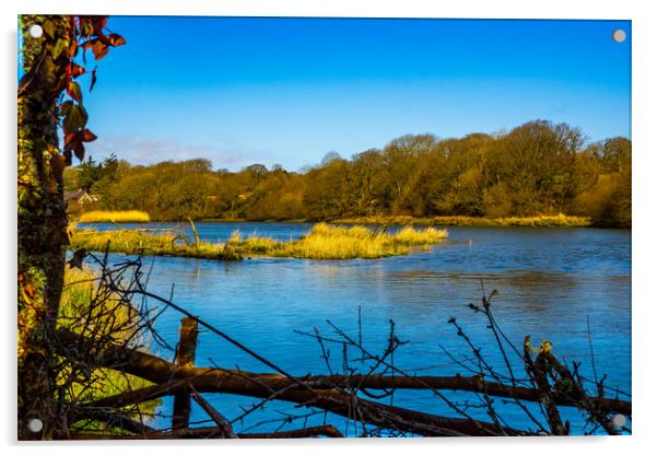 River Teifi, Pembrokeshire, Wales, UK Acrylic by Mark Llewellyn
