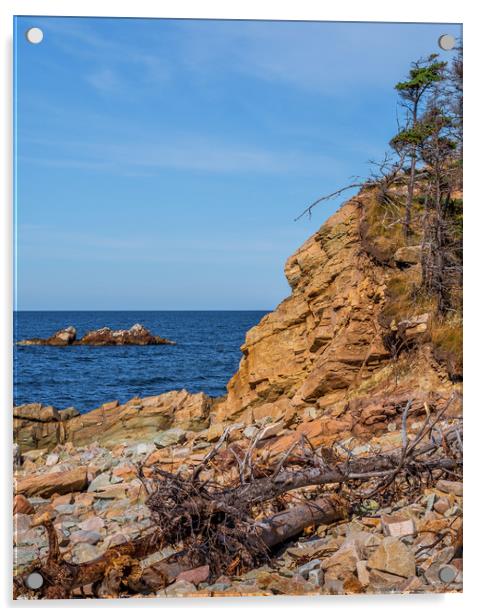 Cape Breton Coast, Canada Acrylic by Mark Llewellyn