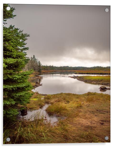 Marshes, Guysborough, Nova Scotia, Canada Acrylic by Mark Llewellyn