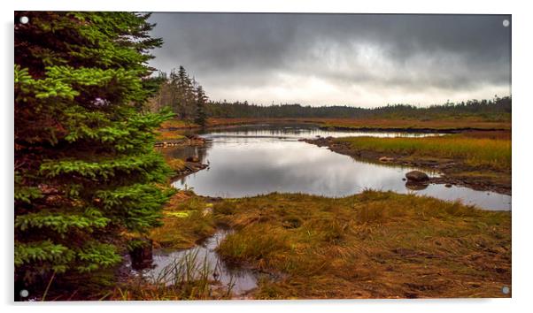 Guysborough Marshes, Nova Scotia, Canada Acrylic by Mark Llewellyn
