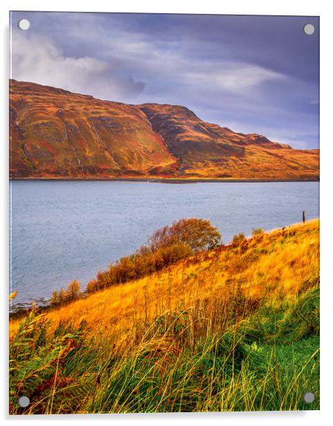 Skye View, Scotland, UK Acrylic by Mark Llewellyn