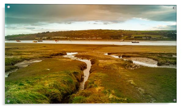Cardigan Bay Estuary, Pembrokeshire, Wales, UK Acrylic by Mark Llewellyn
