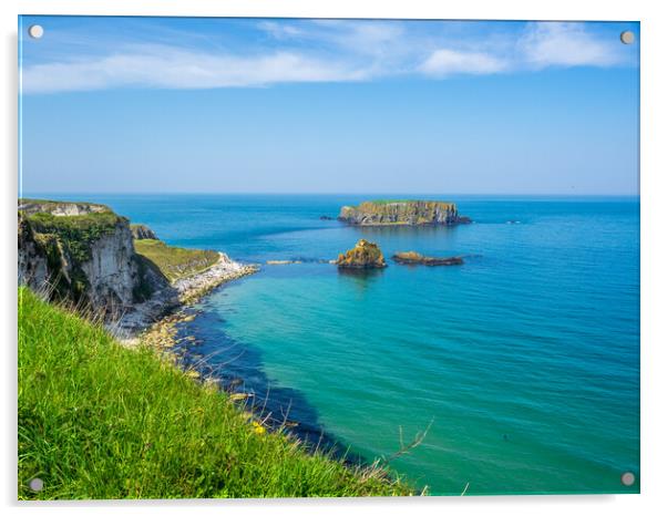 Antrim Cliffs, Northern Ireland Acrylic by Mark Llewellyn