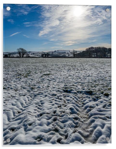 Snow Field, Boncath, Pembrokeshire, Wales, UK Acrylic by Mark Llewellyn