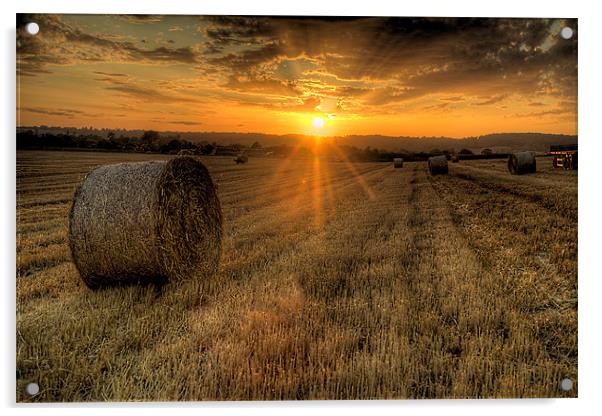 Harvest Cornfield Sunset Acrylic by Simon West