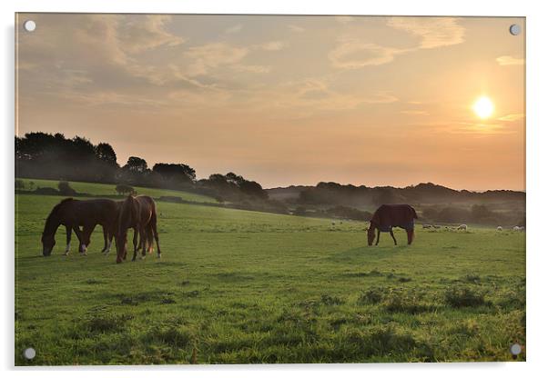 Morning Horses Acrylic by Simon West
