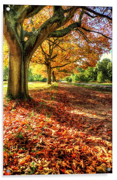 Autumn Trees Acrylic by Simon West