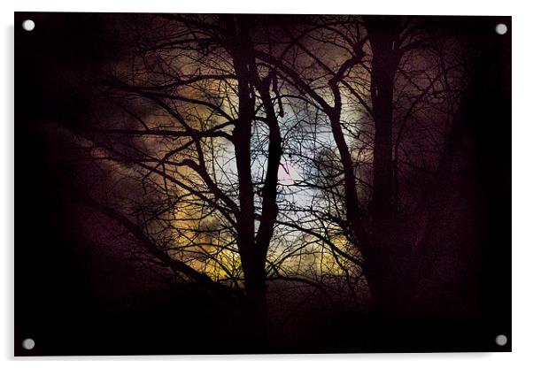 The moon through the trees Acrylic by Simon West