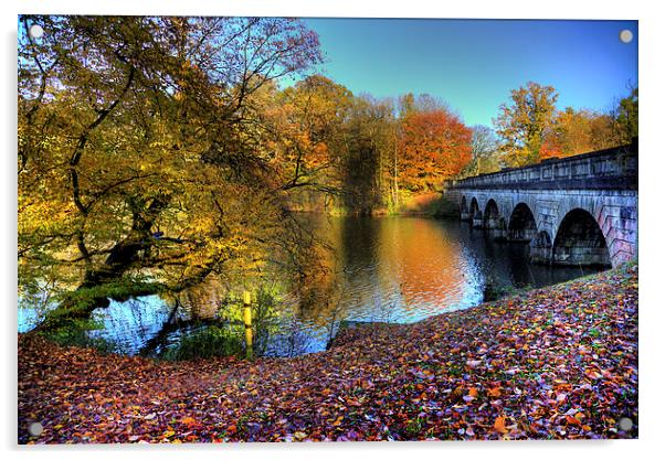 Virginia Water Lake in Autumn Acrylic by Simon West