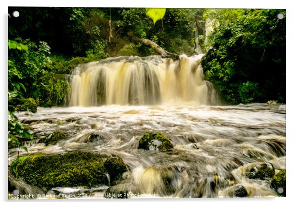 Chrachaig river falls, Scorrybreac. Acrylic by Richard Smith