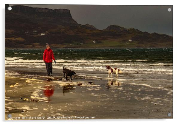 Dog walking on the beach 'an Corran' at Staffin Acrylic by Richard Smith