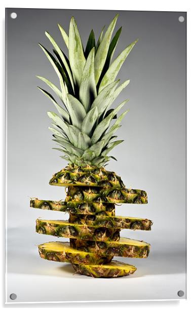 pineapple with slices Acrylic by Justyna studio
