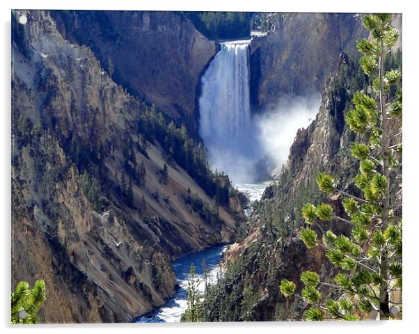 Upper Falls, Yellowstone Park, U.S.A. Acrylic by Andy Gilfillan