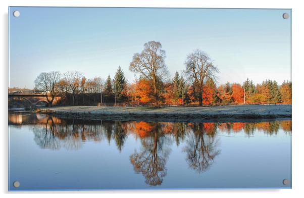 Autumn on the River Don Acrylic by Vicky Mitchell