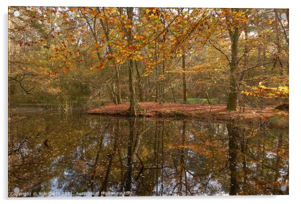 Autumn Colour  Acrylic by Rob Darts