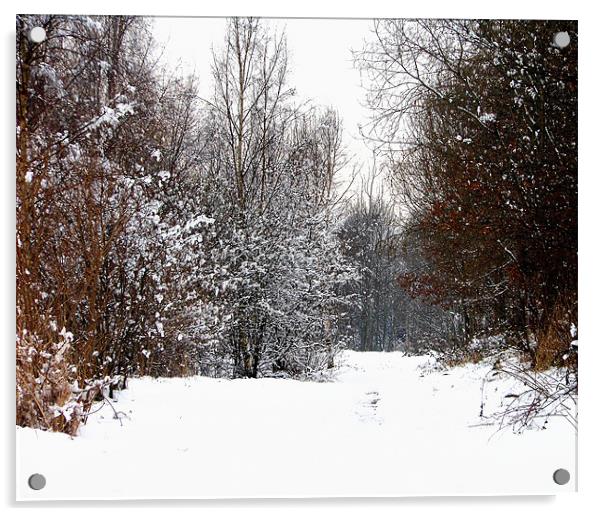 snow view Acrylic by caren chapman