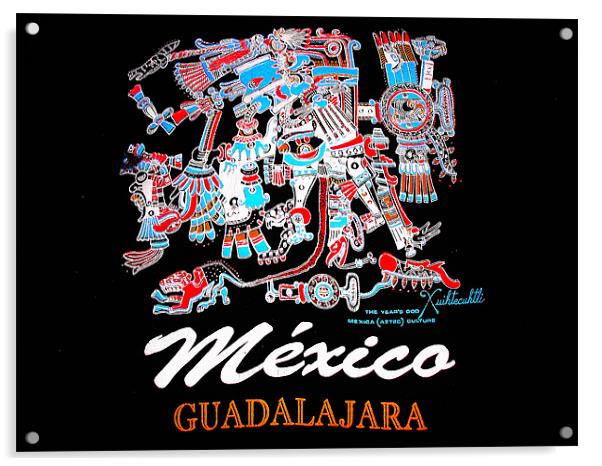 mexico guadalajara Acrylic by caren chapman