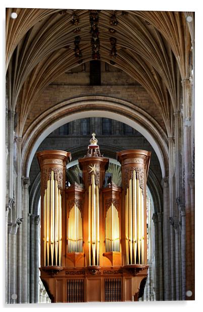 The Pipes Of Norwich Cathedral Acrylic by Mark Lee