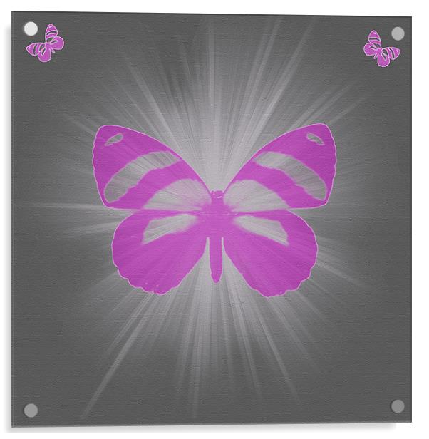 star butterfly Acrylic by Emma Ward
