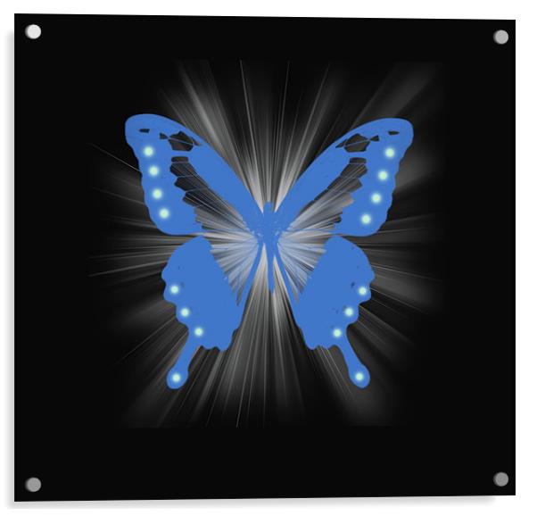 Star Butterfly 3 Acrylic by Emma Ward