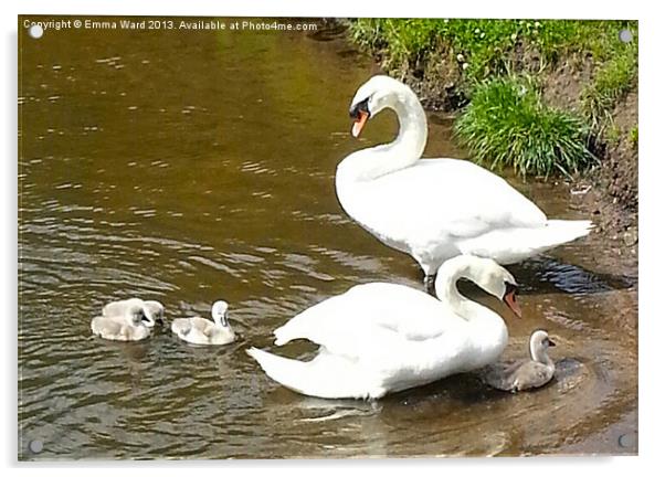 The Swan Family Acrylic by Emma Ward