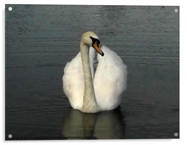swan lake 3 Acrylic by Emma Ward