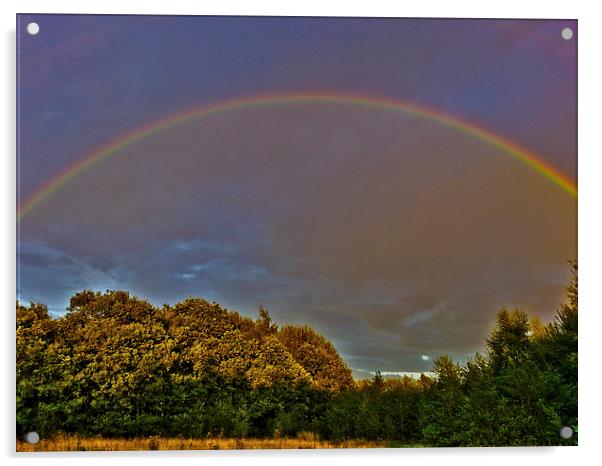 sing a rainbow.... Acrylic by Emma Ward
