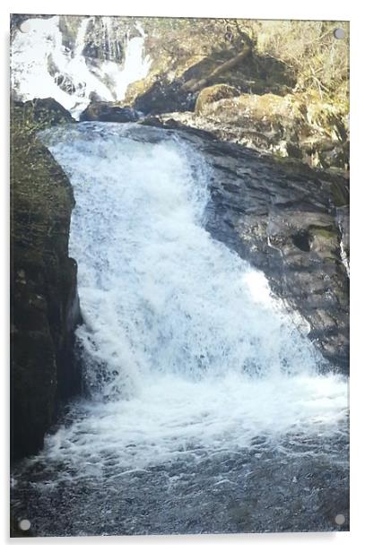 Swallow Falls Collection 3 Acrylic by Emma Ward