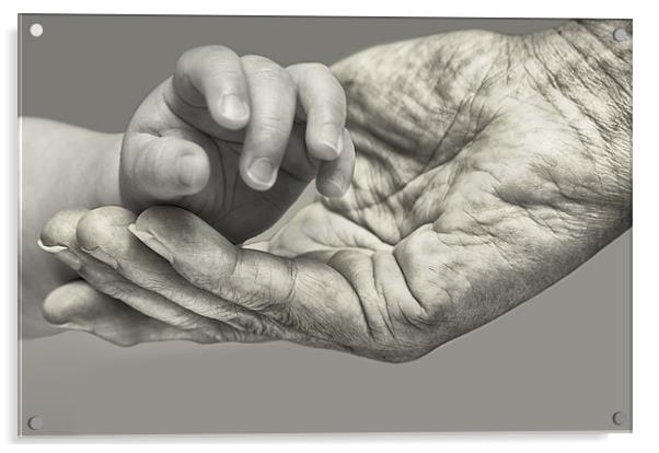 A Helping Hand Acrylic by Nigel Jones
