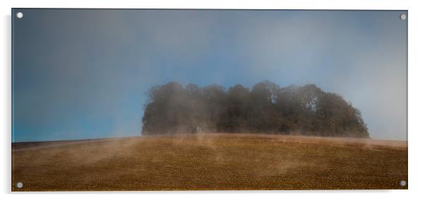  Trees In The Mist Acrylic by Nigel Jones