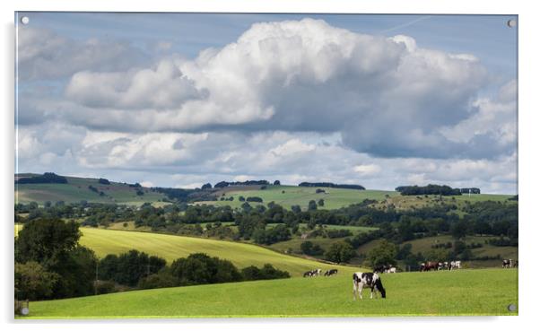 Peak District Pastures Acrylic by Nigel Jones