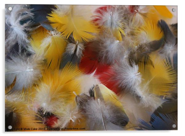 Soft feathers Acrylic by Mark Cake
