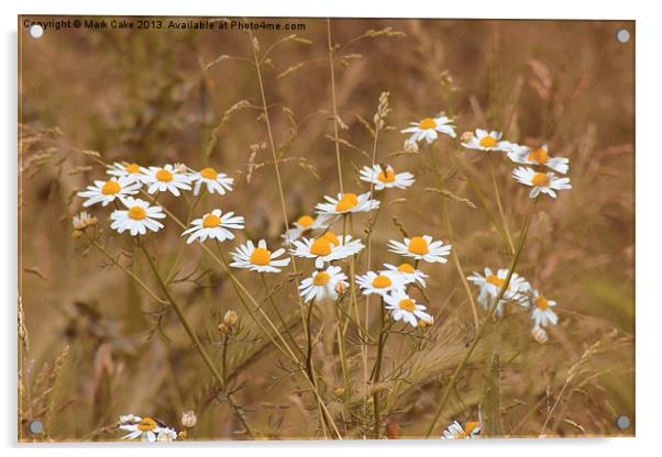 English meadow Acrylic by Mark Cake