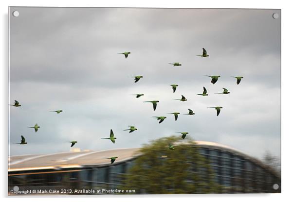 T5 flght formation Acrylic by Mark Cake