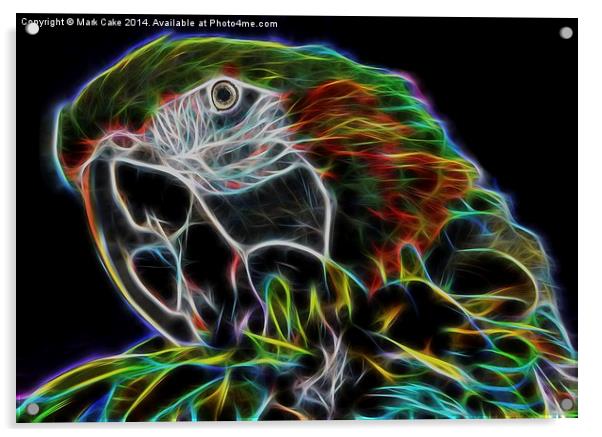  macaw Acrylic by Mark Cake