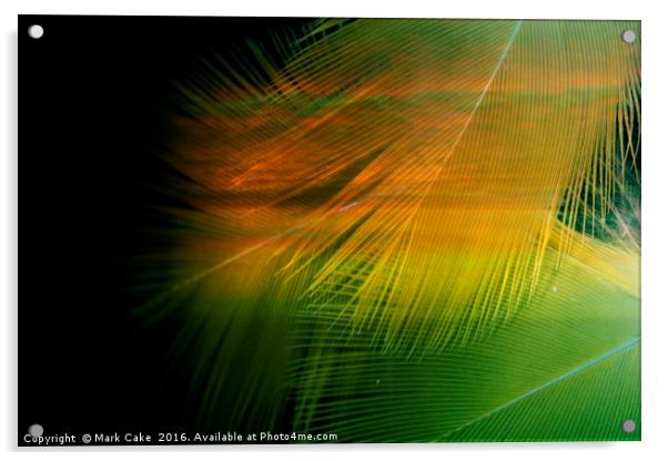 Sunset palms Acrylic by Mark Cake