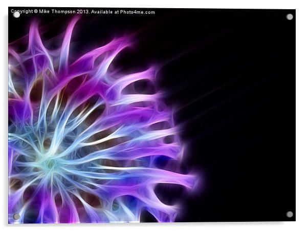 Fractal Anemone Acrylic by Michael Thompson