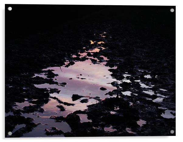 reflective mud puddle Acrylic by Seth jones