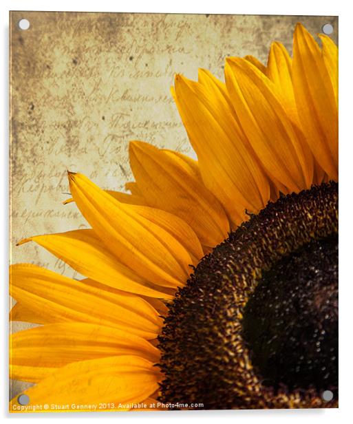 Textured Sunflower Acrylic by Stuart Gennery