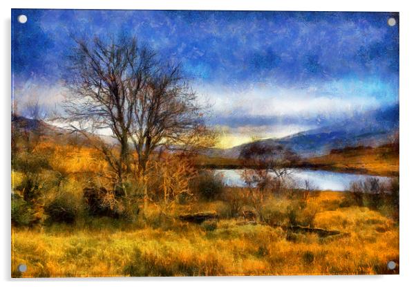 Fall Lake  Acrylic by Ian Mitchell