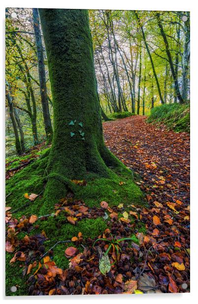 Autumn Forest Walk  Acrylic by Ian Mitchell