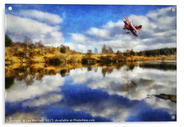 Flight Over The Lake Acrylic by Ian Mitchell