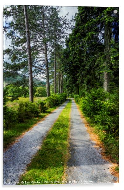 Country Path Walks Acrylic by Ian Mitchell
