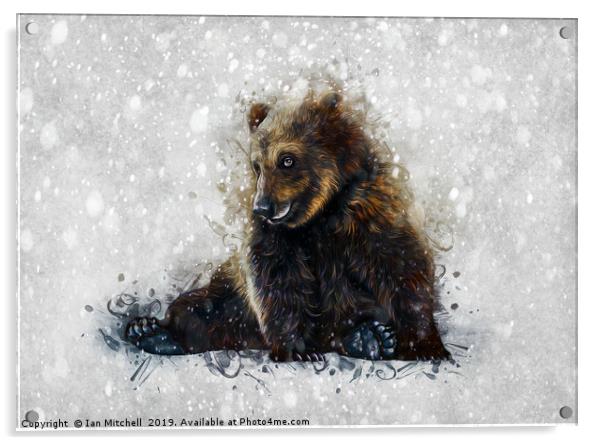 Brown Bear In The Snow Acrylic by Ian Mitchell