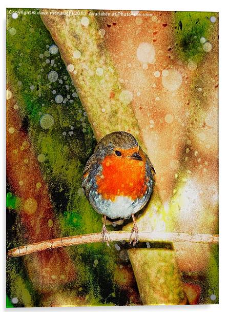  Beautiful Robin Acrylic by dave mcnaught