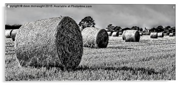  Black & White Hay Bales Acrylic by dave mcnaught