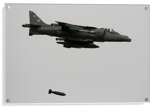 Harrier drops big bomb Acrylic by Rachel & Martin Pics