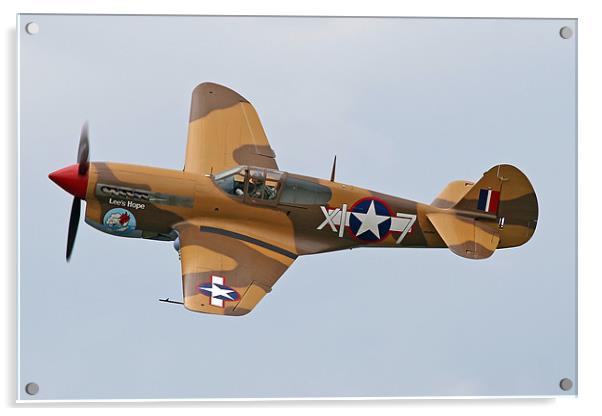P-40 Warhawk Acrylic by Rachel & Martin Pics